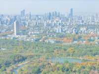 南京玄武湖公園拍照打卡，秋天來這裡感受湖邊的溫柔。