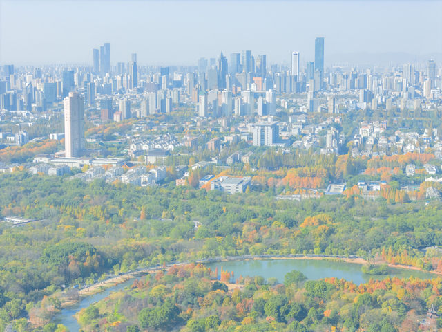 南京玄武湖公園拍照打卡，秋天來這裡感受湖邊的溫柔。