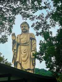 特種兵無錫靈山大佛一日遊,不走回頭路