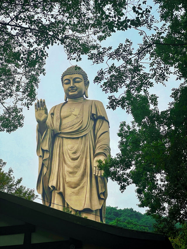 特種兵無錫靈山大佛一日遊,不走回頭路 特種兵無錫靈山大佛一日遊,不走回頭路