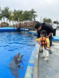 帶娃刷陵水，一定要說說的真實感受