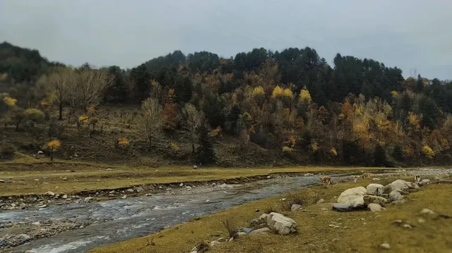 山西最美的季節就要來了，附賞秋旅遊攻略