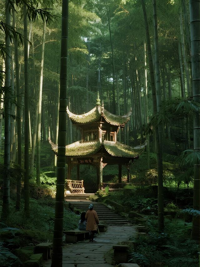 蜀南竹海一日遊攻略不費腿的精華路線