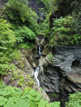 ニューヨーク州北部のWatkins Glen