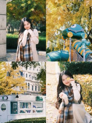 Dalian's autumn is a golden fairy tale dyed by ginkgo trees