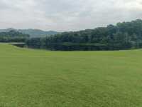 躲進觀瀾湖的秋天這份打卡攻略太治癒了!