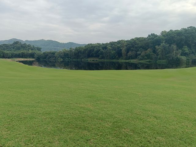 躲進觀瀾湖的秋天這份打卡攻略太治癒了! 躲進觀瀾湖的秋天這份打卡攻略太治癒了!