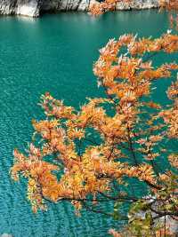 秋日松坪溝賞楓全攻略