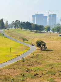 長沙小眾公園天花板磨盤洲生態公園溜娃不擠人