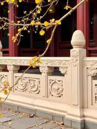 絕了！我喺甘肅搵到一個比九寨溝仲靚嘅彩林秘境！