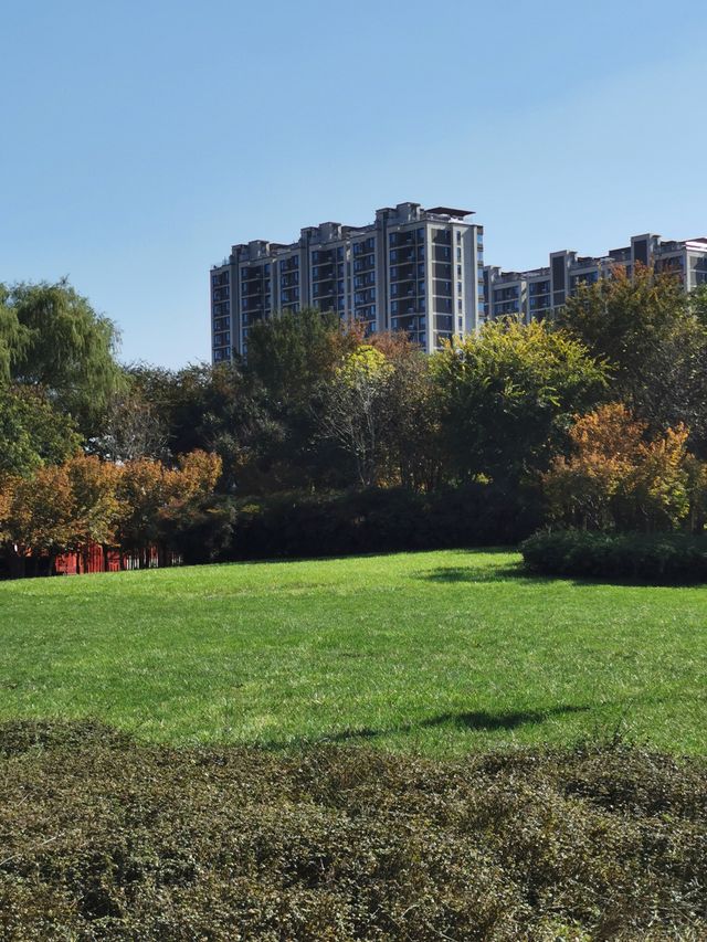 【河南省湯陰縣】城南公園。 【河南省湯陰縣】城南公園。