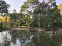 상하이 신홍교센터정원—도심 속 자연과 예술이 어우러진 꿈꾸는 섬