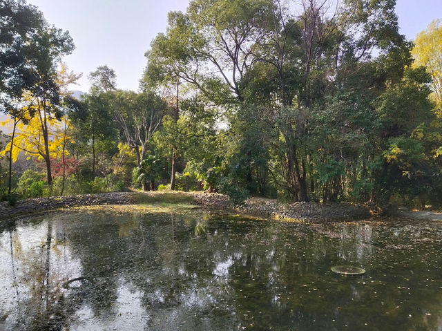 상하이 신홍교센터정원—도심 속 자연과 예술이 어우러진 꿈꾸는 섬 상하이 신홍교센터정원—도심 속 자연과 예술이 어우러진 꿈꾸는 섬