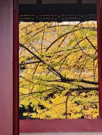 為了這扇秋日限定的窗，我專門去了趟崇州