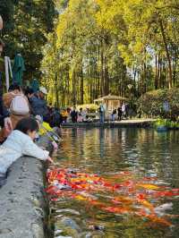 漫步詩歌裡成都浣花溪公園的神仙玩法