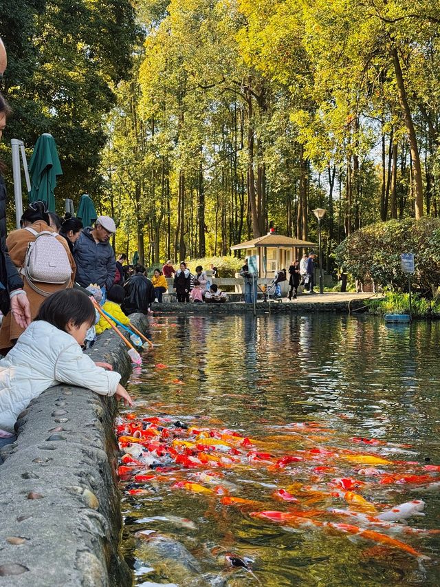 漫步詩歌裡成都浣花溪公園的神仙玩法
