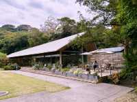 鶴岡八幡宮｜鎌倉最具代表性的神社散步路線 ⛩️🍁