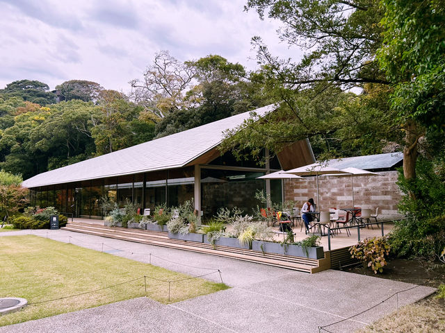 鶴岡八幡宮｜鎌倉最具代表性的神社散步路線 ⛩️🍁