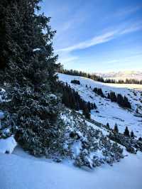 賽里木湖攀登記｜松樹頭，人生最驚險的下山路