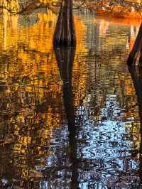 這不是燕雀湖這簡直是大自然的油畫