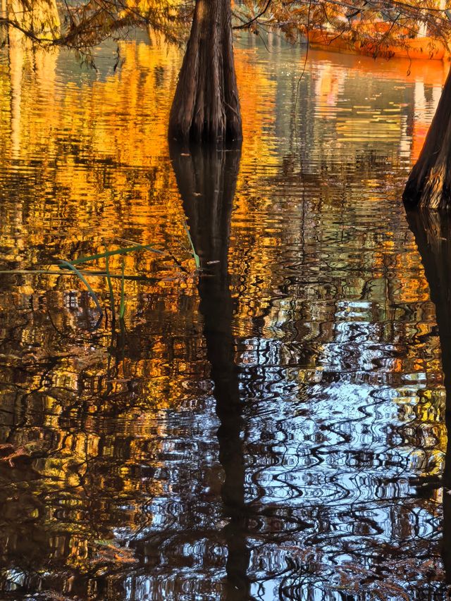 這不是燕雀湖這簡直是大自然的油畫