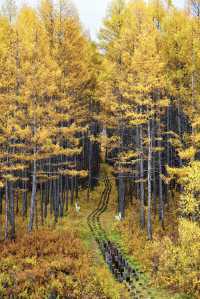 原來中國最冷的地方，竟然不是漠河