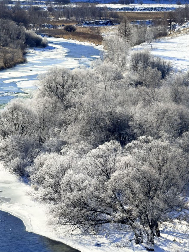 冬季阿爾山0元絕美打卡地合集,拍的每一幀都是壁紙 冬季阿爾山0元絕美打卡地合集,拍的每一幀都是壁紙