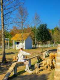 宜興這的秋天 建議去這裡