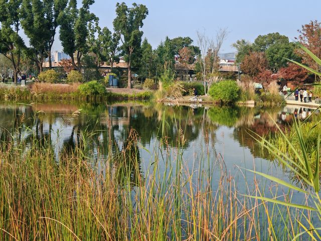 魔都植物園必看攻略櫻花季省時省力玩法