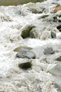 人生第一次帶相機雨林徒步!