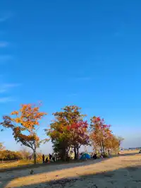 龍游石窟|衢州免費遊第四站!闖入千年迷窟