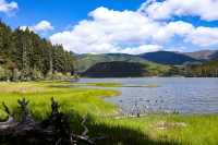 香格里拉攻略｜缺氧但不缺信仰，3天2夜玩轉人間仙境！