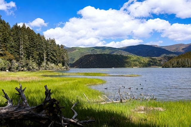 香格里拉攻略｜缺氧但不缺信仰，3天2夜玩轉人間仙境！