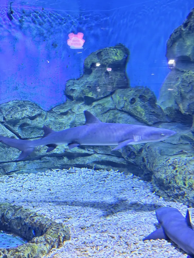 目測會成為泉州下一個No.1