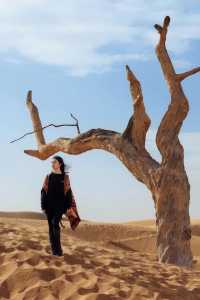 烏海湖最新保姆級遊玩攻略