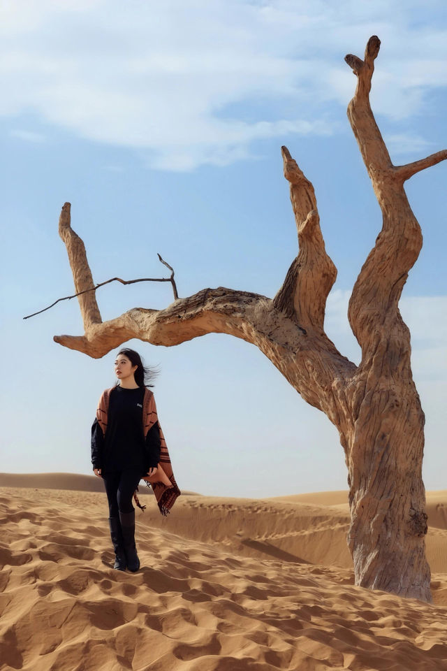 烏海湖最新保姆級遊玩攻略 烏海湖最新保姆級遊玩攻略