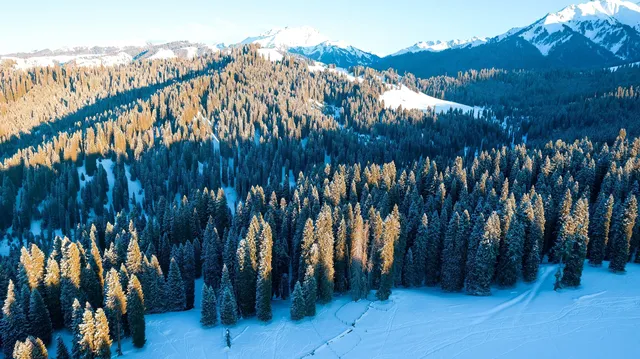 新疆伊犁的冬天,從瓊庫什台到庫爾德寧 新疆伊犁的冬天,從瓊庫什台到庫爾德寧