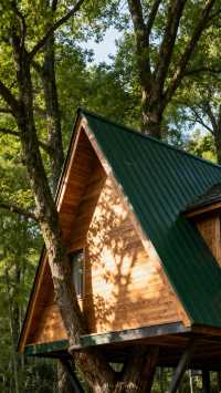 感受「童話」故事般的樹屋體驗