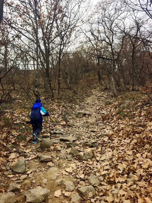 北京陽台山親子徒步｜秋末帶娃接山泉爬野坡