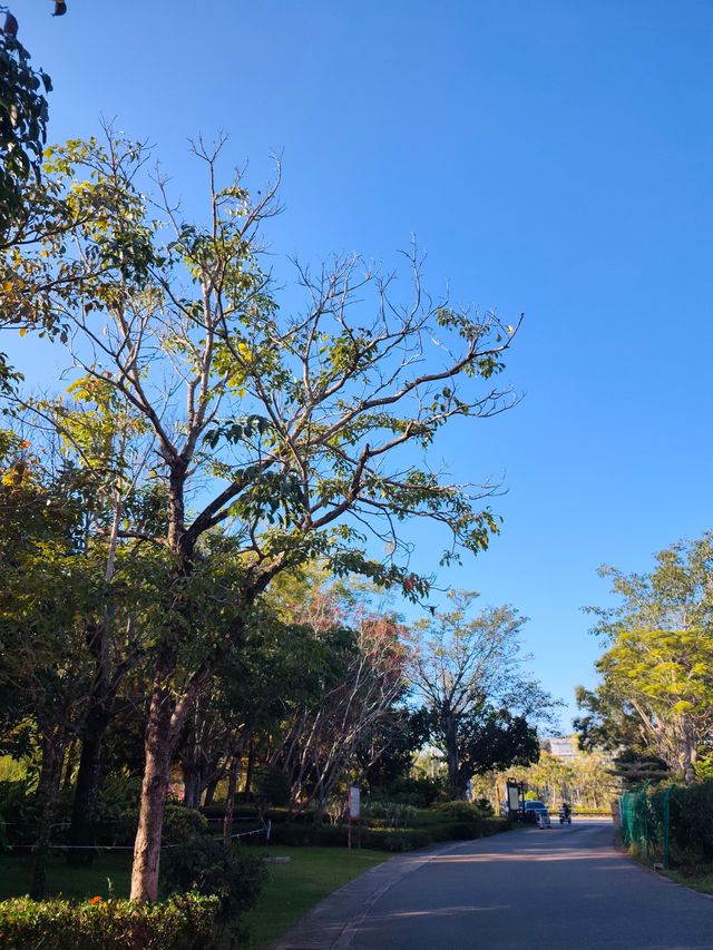 闖入普洱秘境被這片鋪天蓋地的藍治癒了 闖入普洱秘境被這片鋪天蓋地的藍治癒了