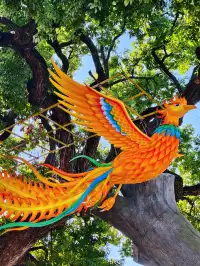 迄今為止,最有煙火氣的江南古鎮出現了