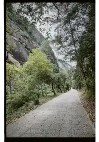 清冷武夷山，最宜岩骨花香漫步