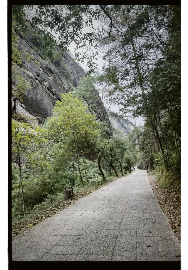 清冷武夷山，最宜岩骨花香漫步