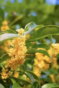 千島湖冬日色卡|高級感直接拉滿,太出片!