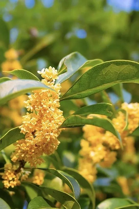 千島湖冬日色卡|高級感直接拉滿,太出片! 千島湖冬日色卡|高級感直接拉滿,太出片!