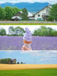 速速保存！夏天去20℃北海道這樣玩封神