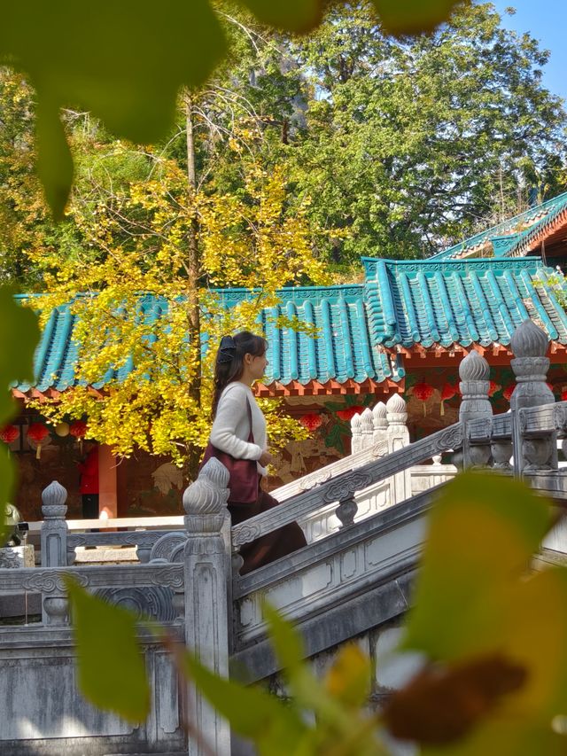 秋天的虞山公園真的太美了！