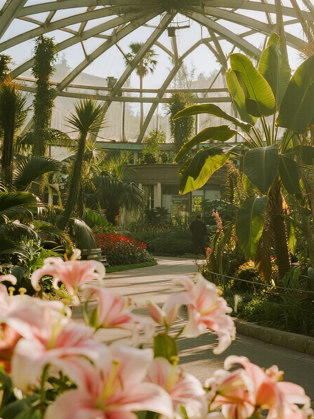 武漢12月遛娃!植物園美成莫奈油畫 武漢12月遛娃!植物園美成莫奈油畫
