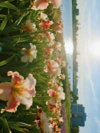 12月親子拍照！留住童年的浪漫瞬間