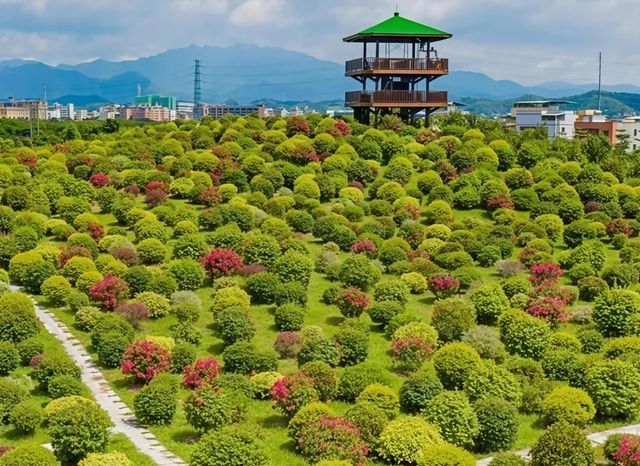 大灣區的夢幻樂園 大灣區的夢幻樂園